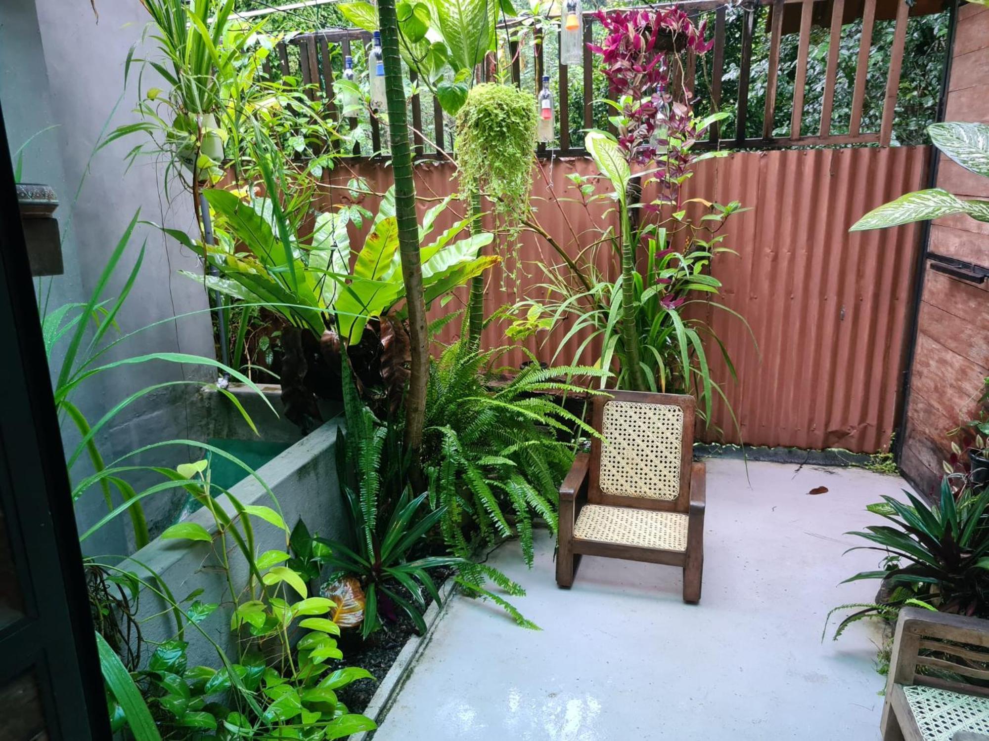 La Pinchi " Pinchi'S Bed " Hotel Gampola Ngoại thất bức ảnh